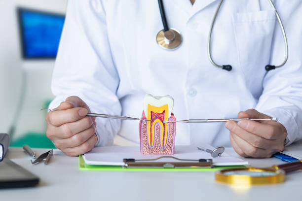 Best Emergency Root Canal Treatment in Hedwig Village, TX